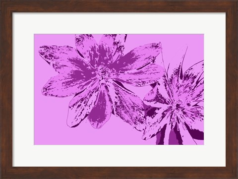 Framed Pink Anemone Print