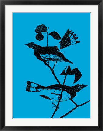 Framed Starlings Print