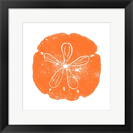 Framed Orange Sand Dollar Print