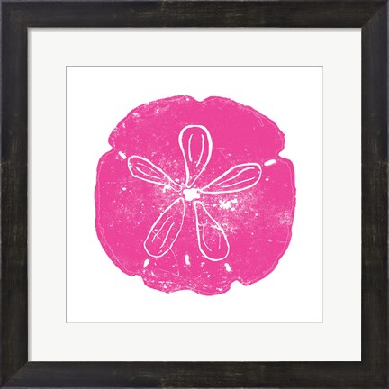 Framed Pink Sand Dollar Print