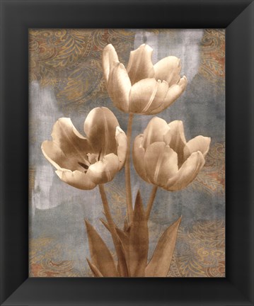 Framed Tulip II Print