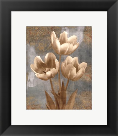 Framed Tulip II Print