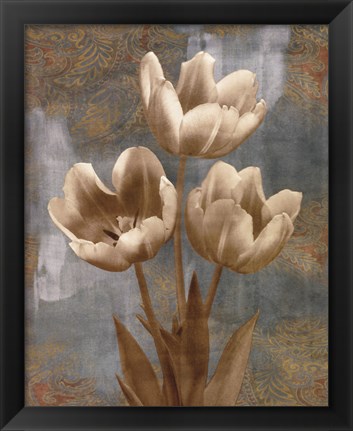 Framed Tulip II Print