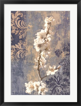 Framed Blossom II Print