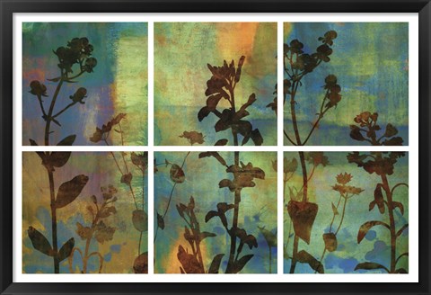 Framed Wild Flowers II Print