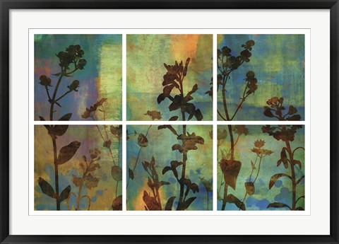 Framed Wild Flowers II Print