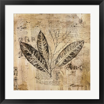 Framed Botanical Sketchbook I Print