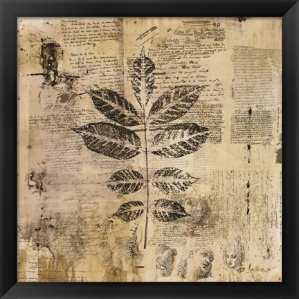 Framed Botanical Sketchbook II Print