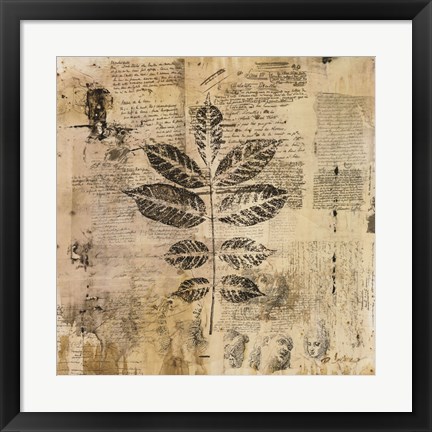 Framed Botanical Sketchbook II Print