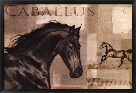 Framed Caballus I Print