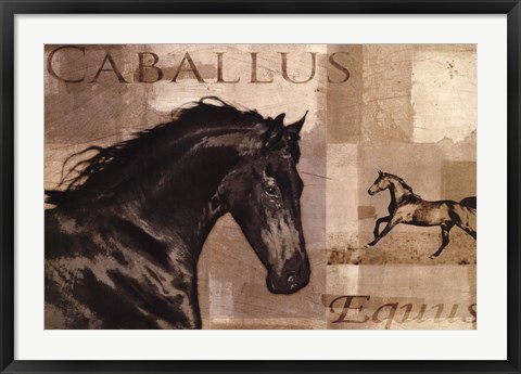 Framed Caballus I Print