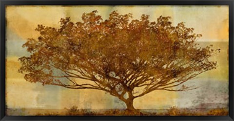 Framed Autumn Radiance Sepia Print