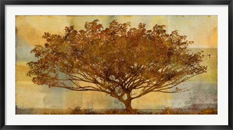 Framed Autumn Radiance Sepia Print