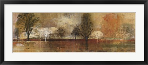 Framed Tree Shadows II Print