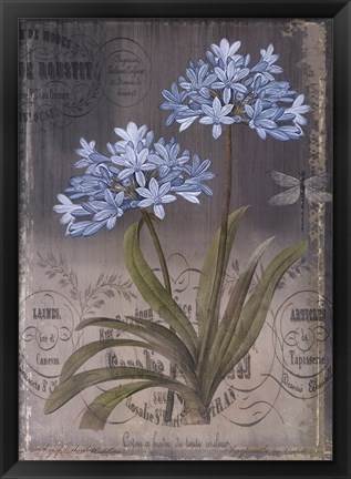 Framed Black Botanical II Print