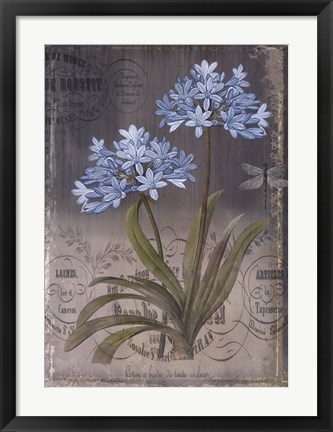 Framed Black Botanical II Print