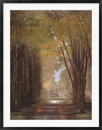 Framed Mist Print