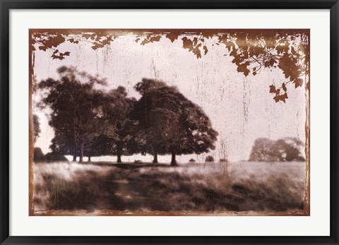 Framed Tree Meadow II Print