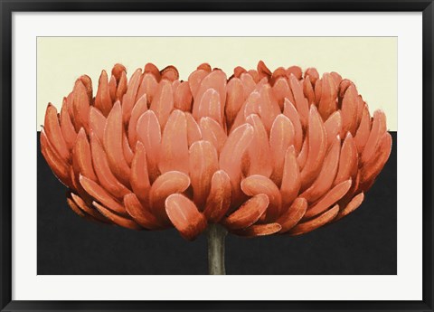 Framed Apricot Flame II Print