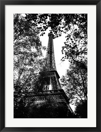 Framed Paris Trees Print