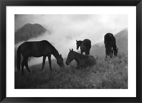 Framed Morning Mist Print