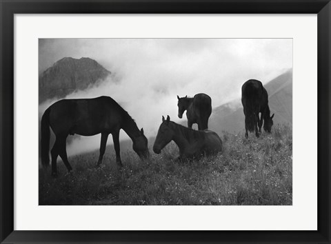 Framed Morning Mist Print