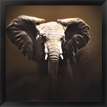 Framed On Safari Print