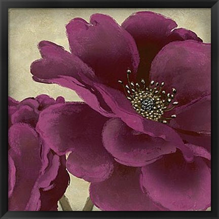 Framed Peony Dusk I Print