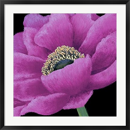 Framed Brilliant Blooms I Print