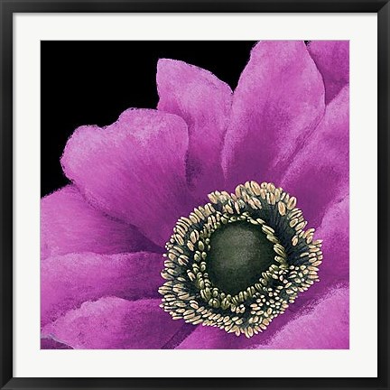 Framed Brilliant Blooms II Print