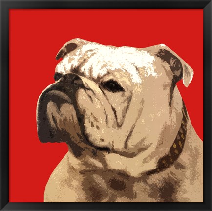 Framed British Bulldog, Red Print