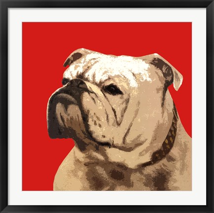 Framed British Bulldog, Red Print