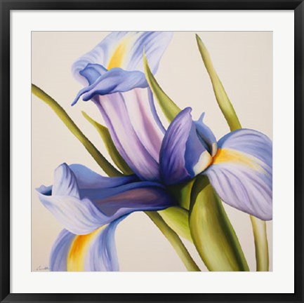 Framed Iris Wind Print