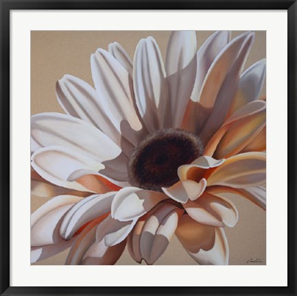 Framed White Gerbera Print