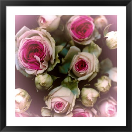 Framed Roses Print