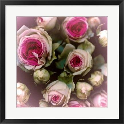 Framed Roses Print