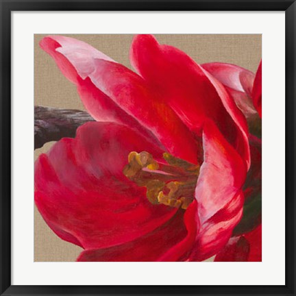 Framed Japonica Blush II Print