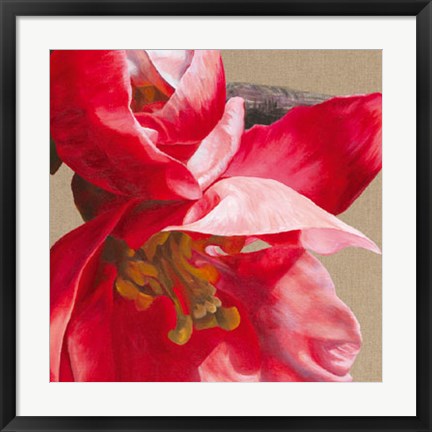 Framed Japonica Blush III Print