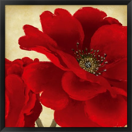 Framed Red Peony I Print