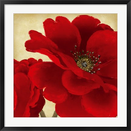 Framed Red Peony I Print