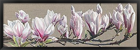 Framed Magnolia Swathe Print