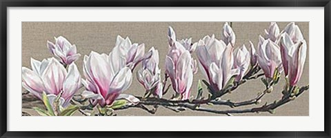 Framed Magnolia Swathe Print