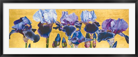 Framed Blue Lustre Print