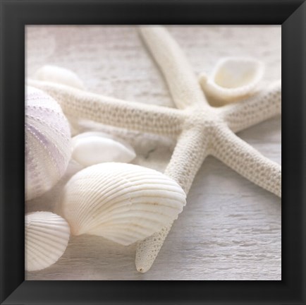 Framed Driftwood Shells III Print