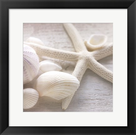 Framed Driftwood Shells III Print