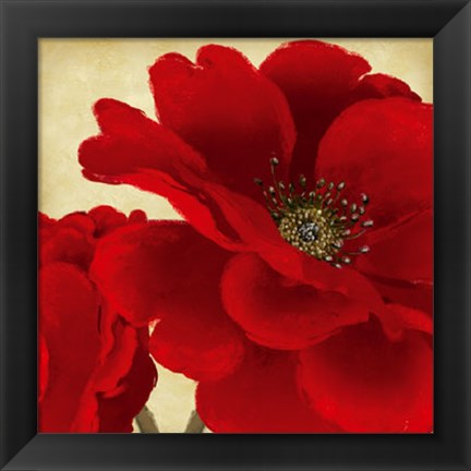 Framed Red Peony I Print