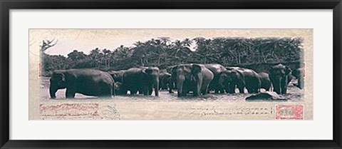 Framed Elephant Journal Print