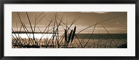 Framed Setting Sun II Print