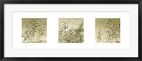 Framed Patmos Trio Print