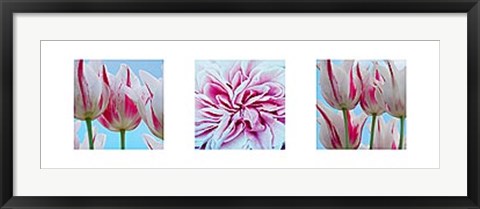 Framed Fresh Blooms Triptych Print